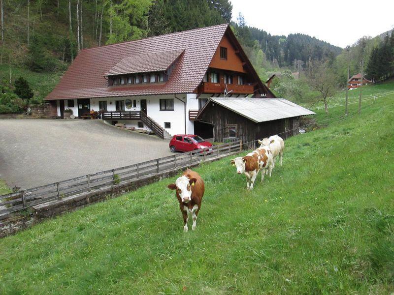 Ferienwohnung Hinterkimmighof Oberharmersbach Exterior foto